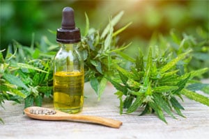 Streamlined Production Oversight for the Cannabis and CBD Industry