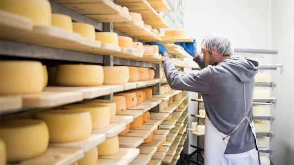 food production cheese aging